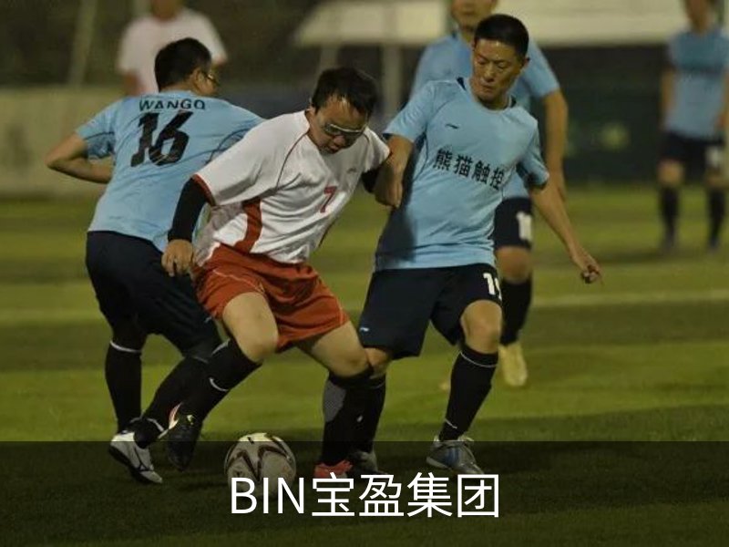 了解BIN宝盈集团
